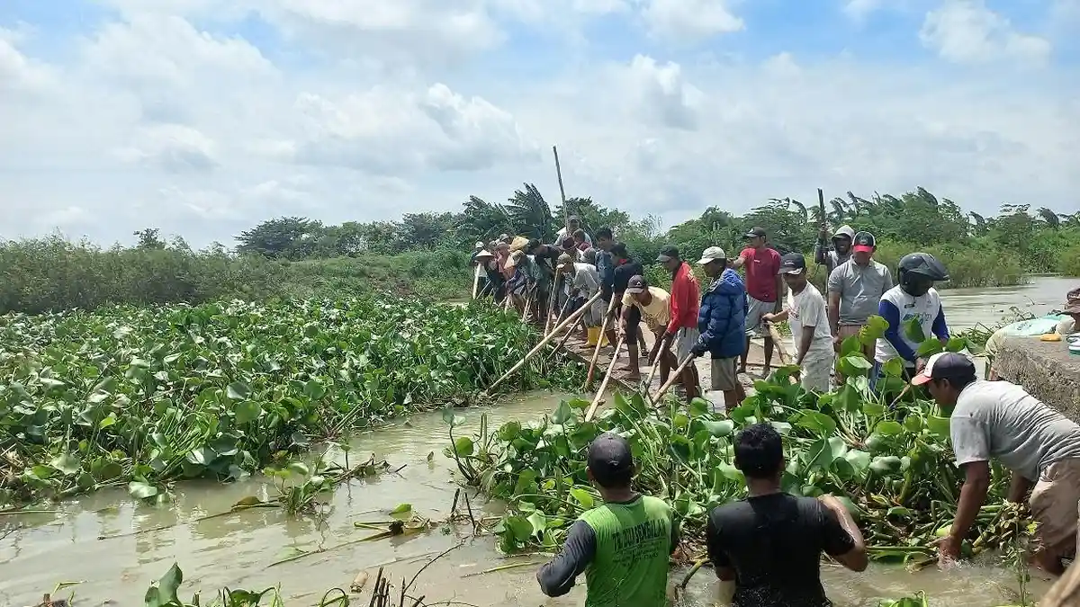 Kementerian PUPR Akan Normalisasi 3 Sungai di Jepara, Namun Terhalang Ribuan Rumah Warga
