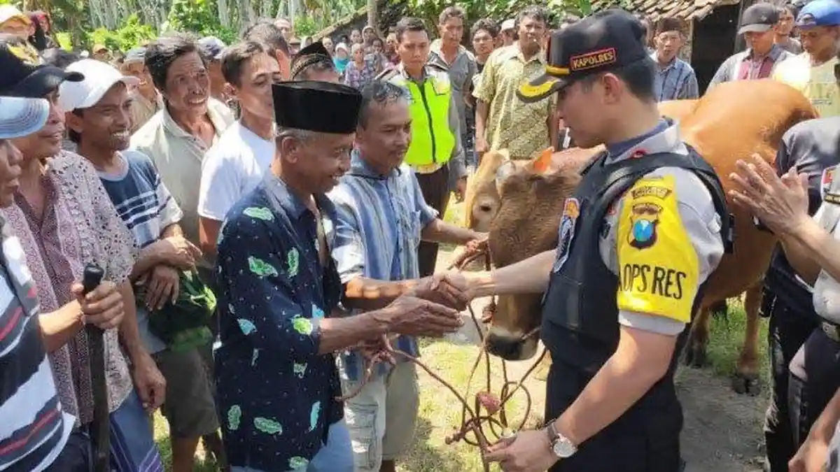 Sapi Senilai Rp 70 juta Hilang Dari Kandang, Drone dan Anjing Pelacak Bikin si Pencuri Tak Berkutik
