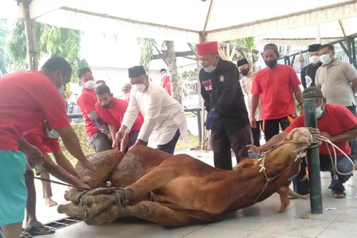 Arti Mimpi Menyembelih Sapi, Pertanda Keberuntungan akan Datang
