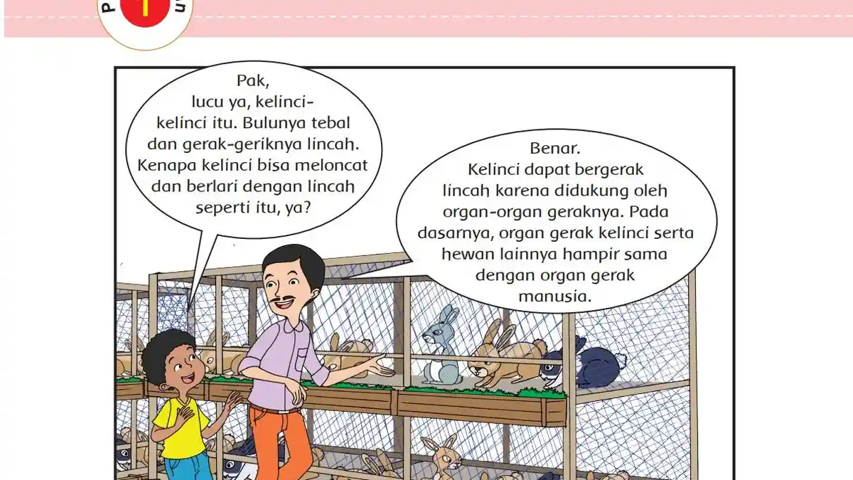 Kunci Jawaban Tema 1 Kelas 5 Halaman 2 - 7, Ayo Berlatih: Organ Gerak Manusia dan Hewan