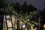 Angin Puting Beliung Terjang Tapin, Puluhan Rumah di Kecamatan Binuang Rusak