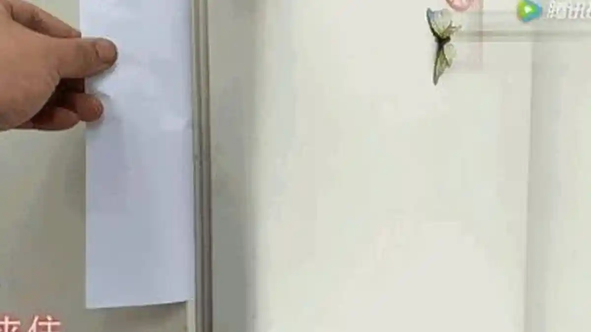 Letakkan Selembar Kertas pada Pintu Lemari Es, Ini Manfaat Ajaib yang Bisa Anda Dapatkan