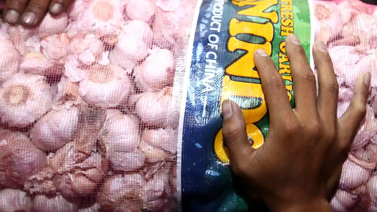 Uniknya Strategi Menuju Swasembada Bawang Putih