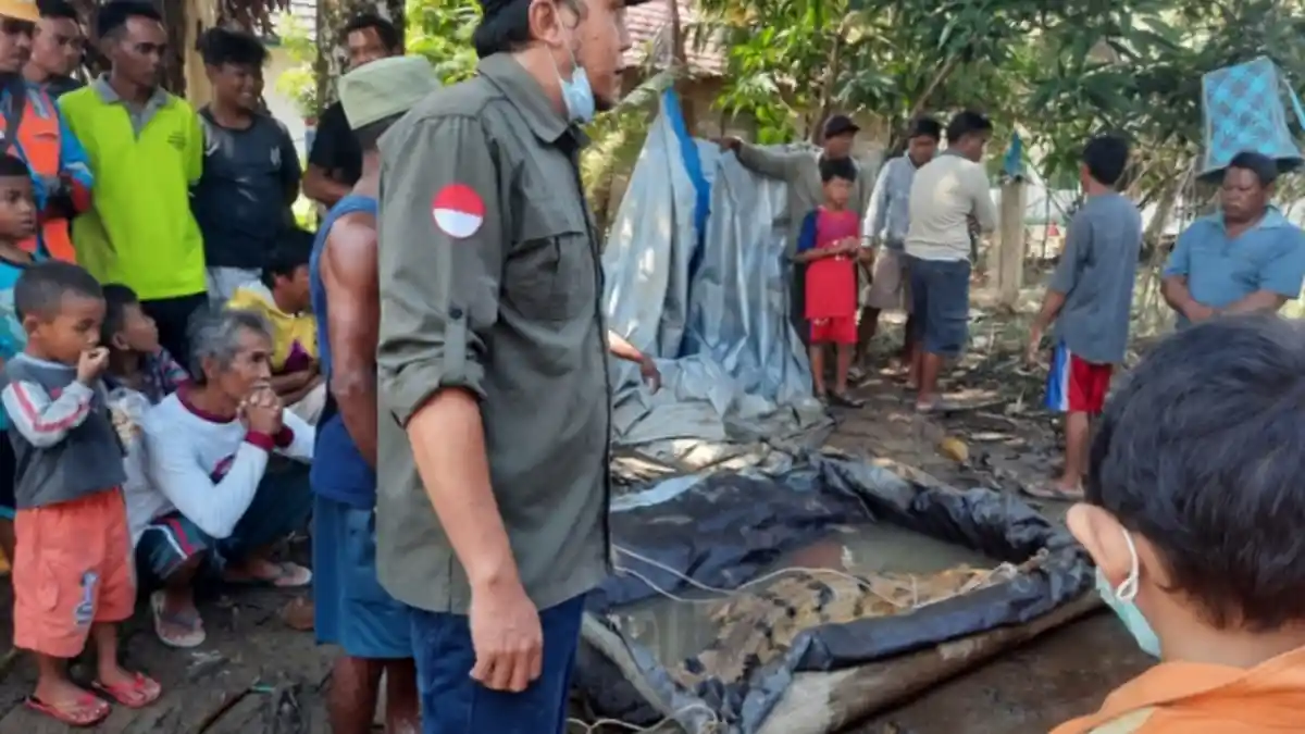 Buaya Kuning Terperangkap di Jaring Perangkap Ikan Milik Warga Katingan Kalteng