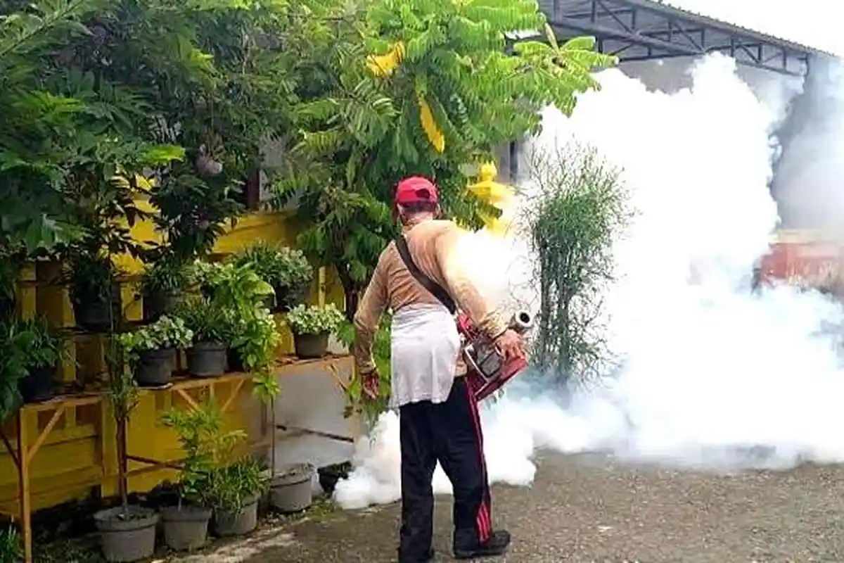 Usai Libur Lebaran 2024,  Jumlah Kasus Demam Berdarah di Kota Batu Bertambah