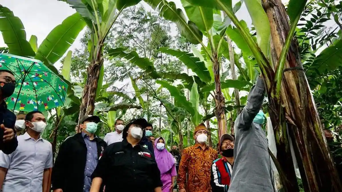 Lumajang jadi Lokasi Pilot Project Model Pengembangan Wilayah Terpadu Basis Hutan Sosial
