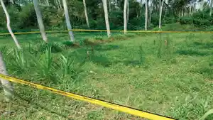 TKP-bocah-banyuwangi.jpg