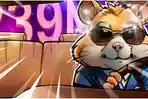 Gampang! Sandi Harian HODL, Kunci Mini Game, Kartu Kombo Hamster Kombat 24 Juli 2024, Gas Mainkan