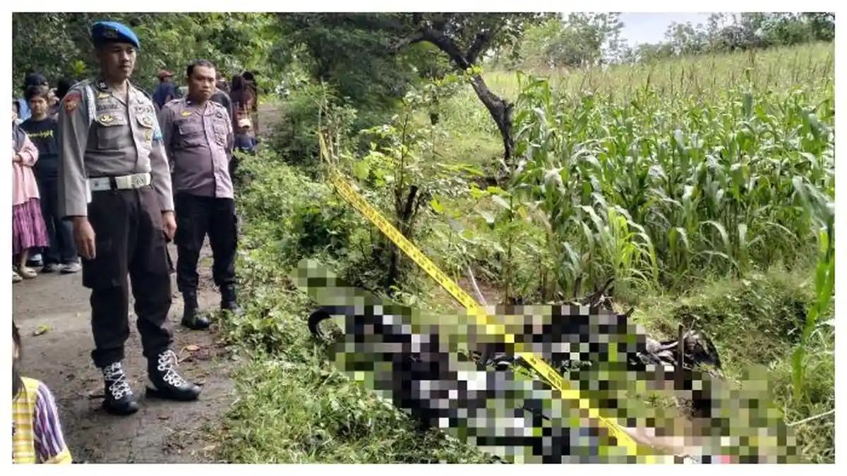 BREAKING NEWS: Warga Sinjai Timur Tewas Diduga Tersengat Listrik Jebakan Babi