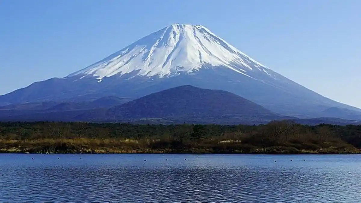 Kisah Menarik dari Jepang yang Mulai Kewalahan karena Populasi Turun Drastis 