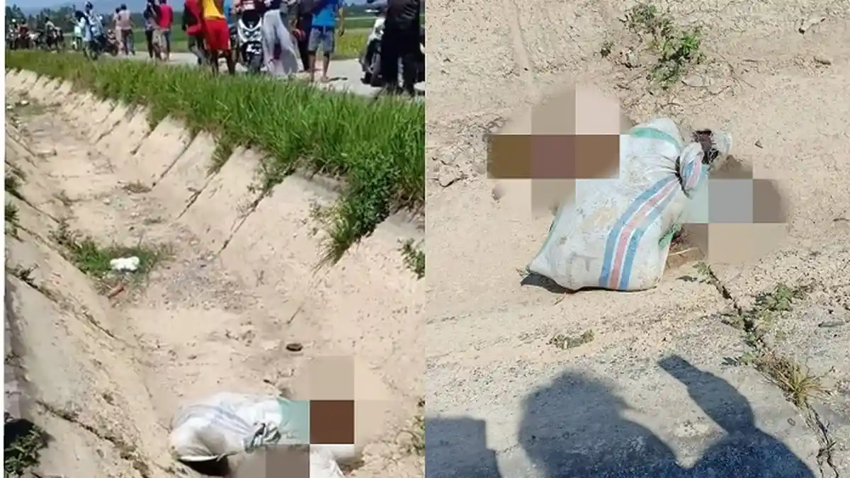 BREAKING NEWS: Penemuan Mayat Terbungkus Karung Gegerkan Warga Segerang Polman