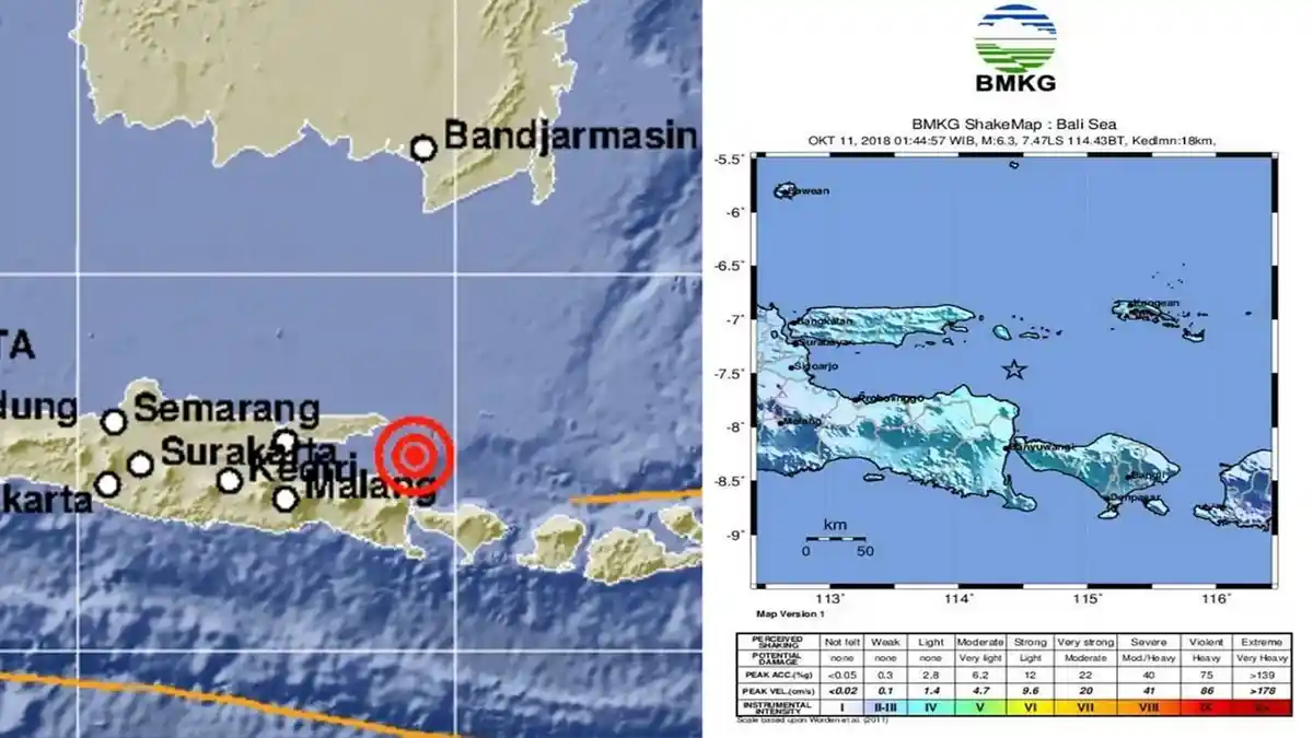 BNPB Pastikan Gempa Situbondo Tidak Berkaitan dengan Gempa Palu