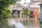 BPBD Sebut Banjir di Kabupaten Tangerang Meluas hingga 15 Kecamatan, 9.000 KK Terdampak