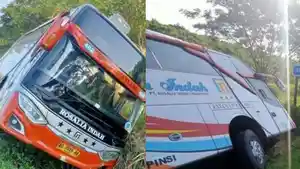 Kronologi-Kecelakaan-Maut-Bus-Rosalia-Indah-di-Tol-Batang-Sopir-Ngantuk-Hingga-Kendaraan-Masuk-Parit.jpg