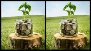 zakat-kiyo.jpg