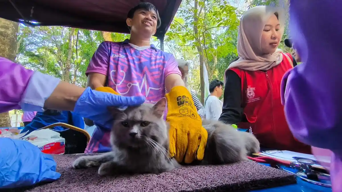 Farida Syukur: Hewan Sakit dan Hamil Tidak Bisa Divaksin Rabies