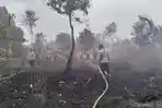 Masih Ada Api di Tengah Lahan, Karhutla di Teluk Meranti Pelalawan Mulai Terkendali