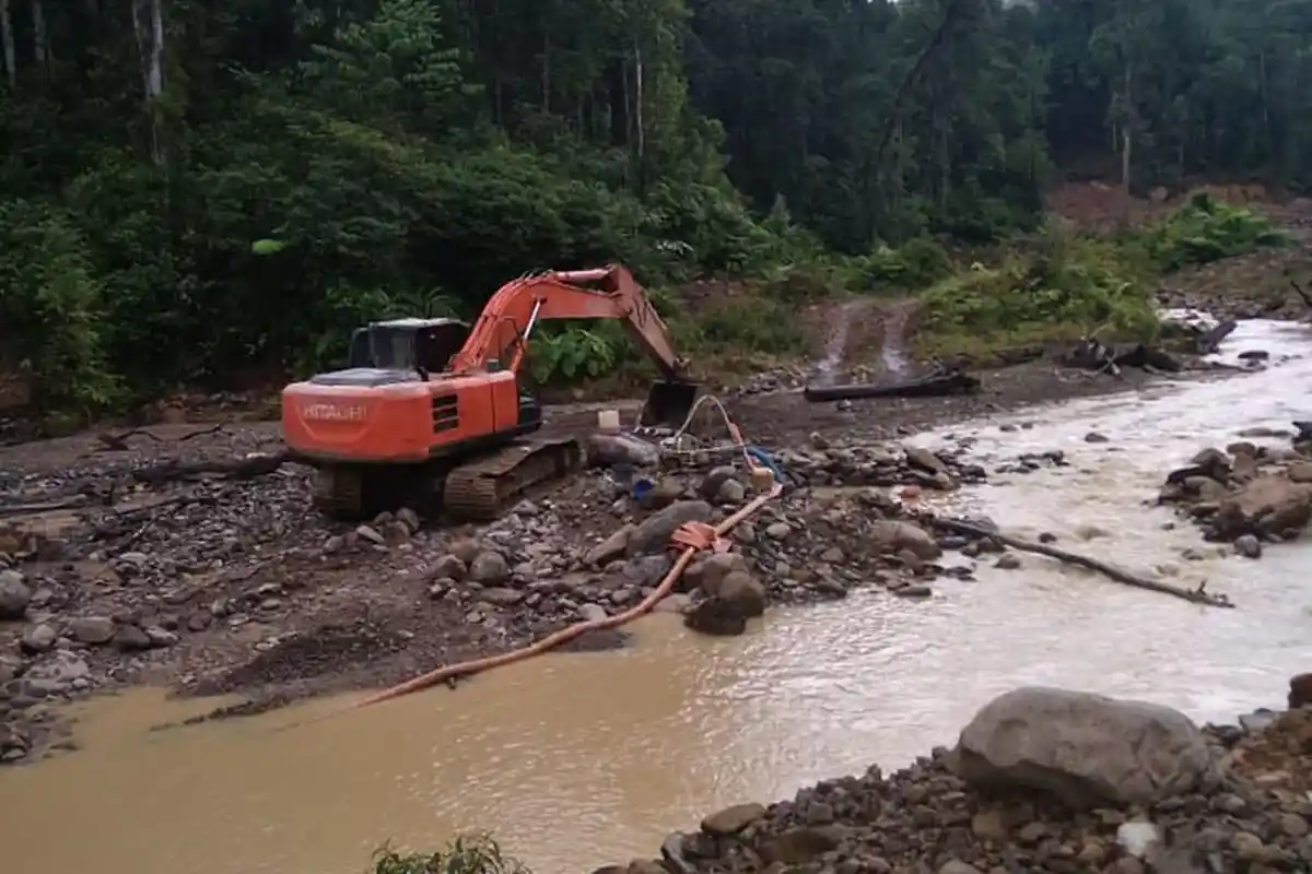 Penambang Emas Illegal Marak, Walhi Aceh: Hutan Geumpang Mengkhawatirkan