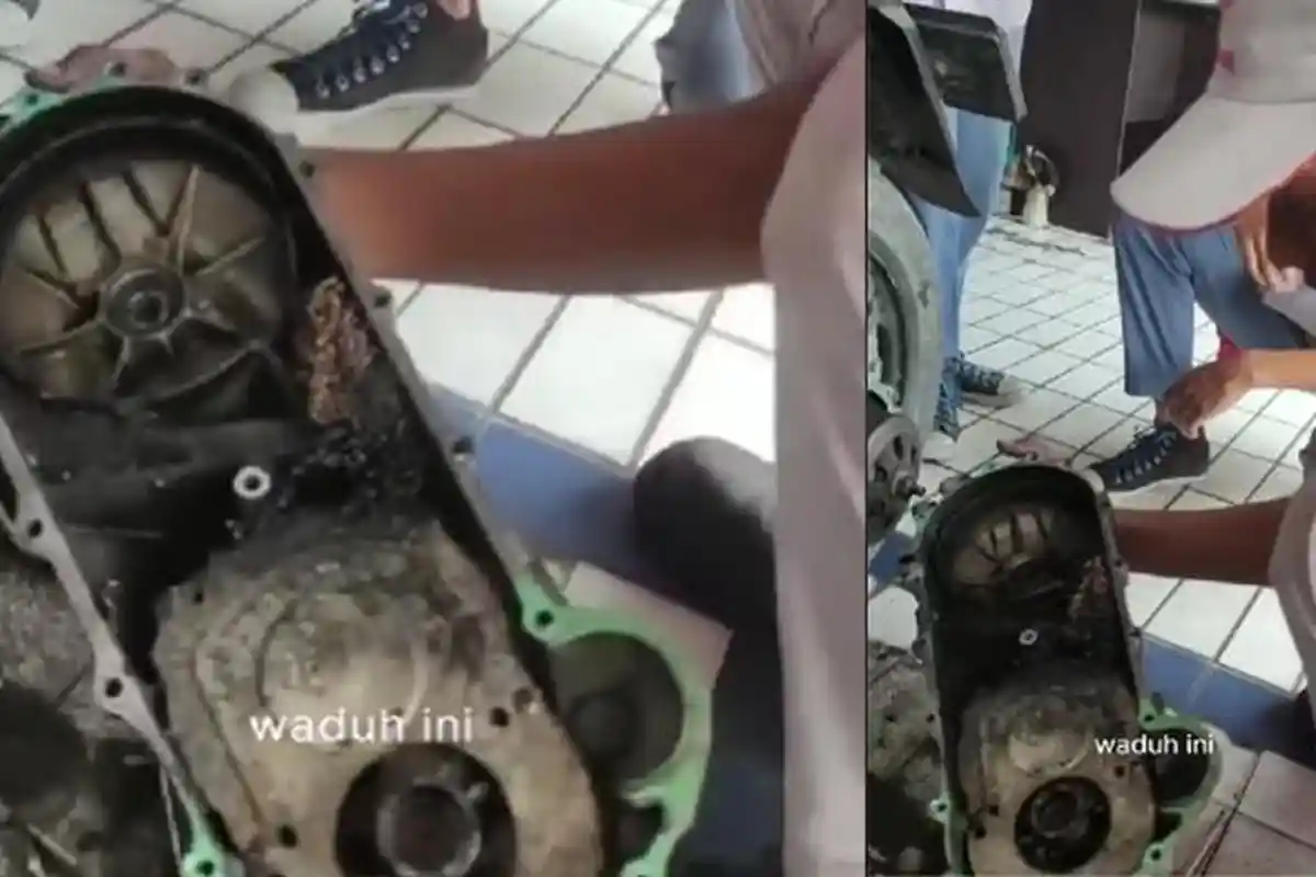 Viral Mesin Motor Jadi Sarang Tawon Bikin Montir Syok, Pemiliknya Cewek Sejak Beli Tak Pernah Servis