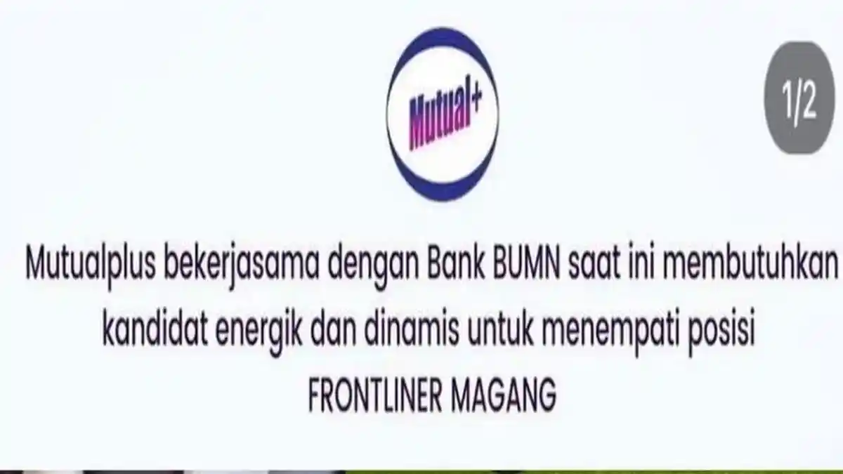 Loker Bank BUMN Posisi Frontliner Magang, Penempatan Kendari, Baubau, Raha dan Kolaka, Cara Daftar