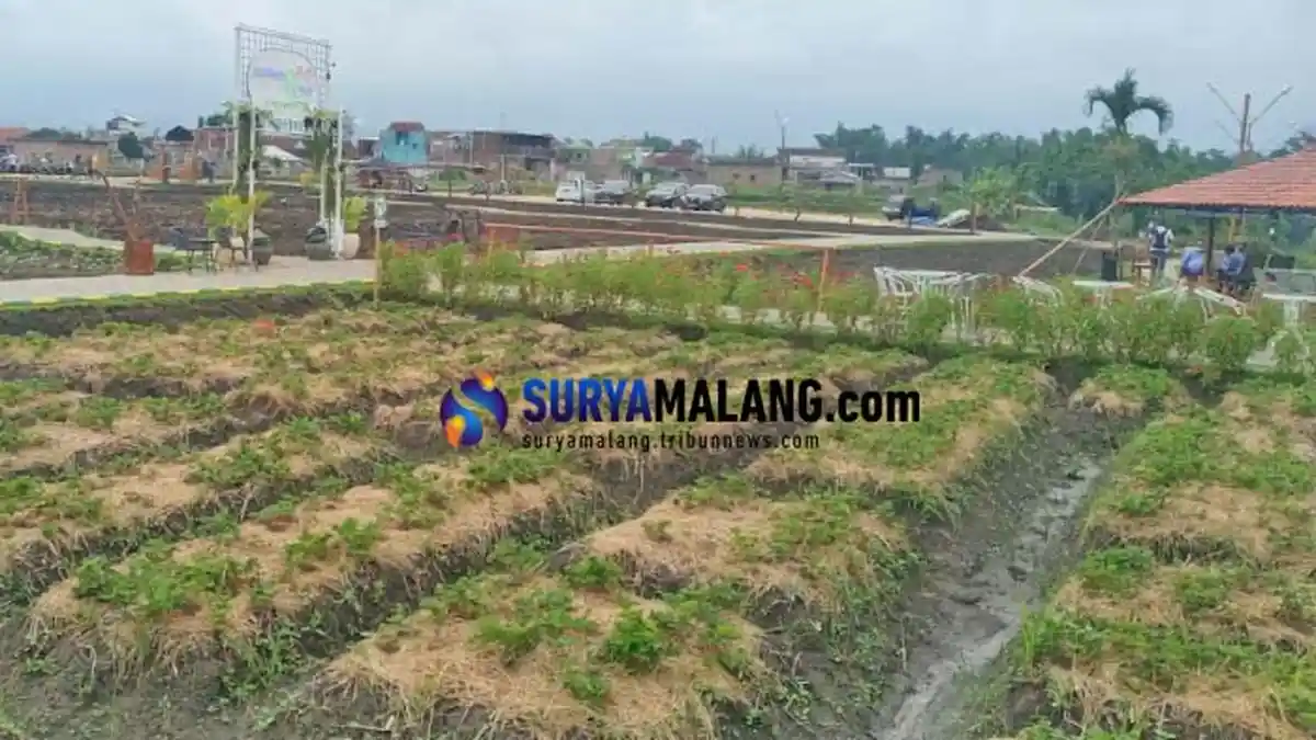 Pemkab Malang Optimistis Sektor Agroindustri Tetap Tumbuh di Masa Pandemi Covid-19