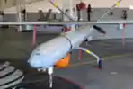 Drone Israel Elbit Hermes 450