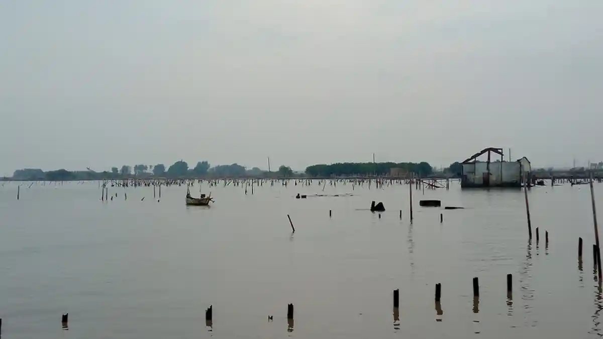 Tahun 1985, Jarak Pemukiman Tambakrejo Semarang dengan Pantai 1,5 Km, Kini Laut di Belakang Rumah