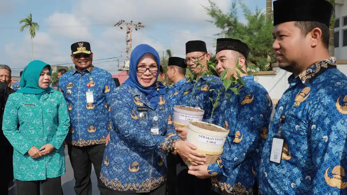Gerakan Tanam Cabai, Pemkot Pangkalpinang Dapat Bantuan 20 Ribu Bibit, Bakal Dirawat ASN dan PHL