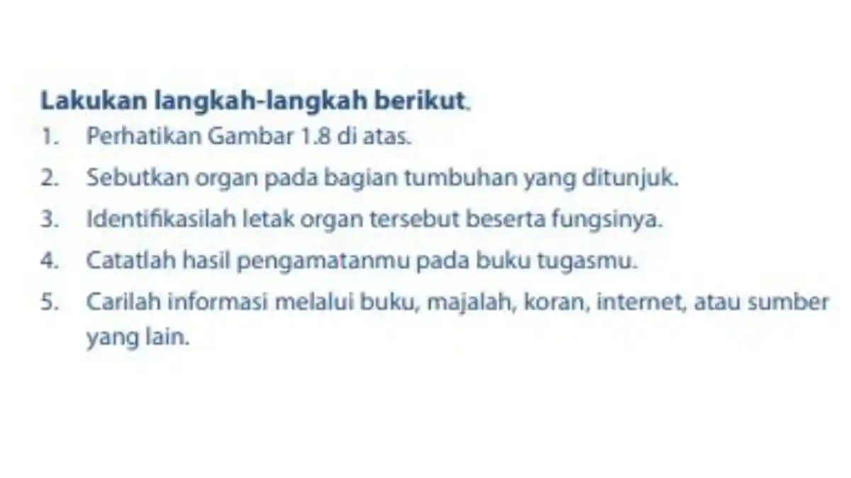 Kunci Jawaban IPA Kelas 7 Halaman 16-17 Semester 2 Kurikulum 2013, Bab 1: Organ pada Tumbuhan