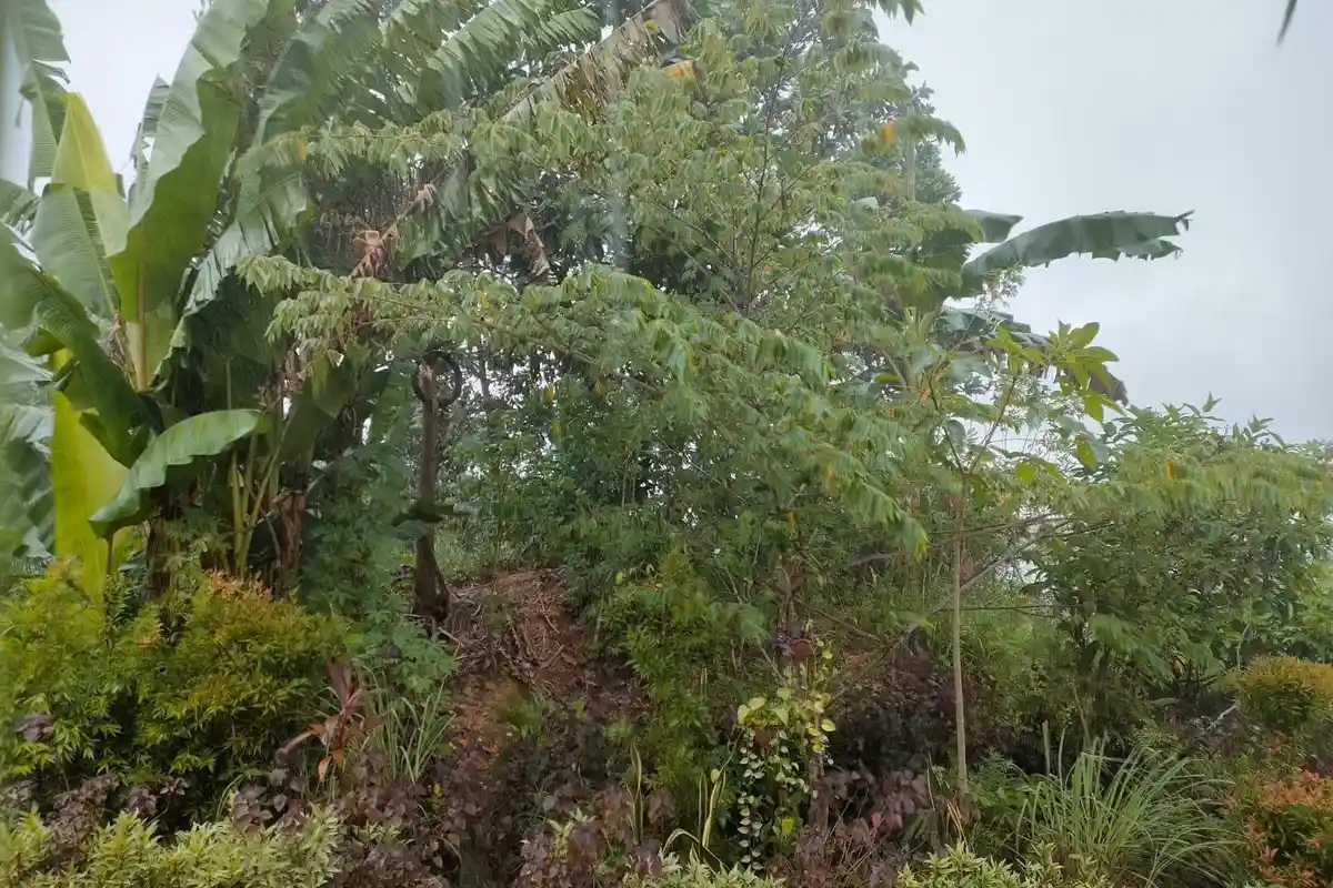 Cuaca Balikpapan Hari Ini, Hujan Deras Turun, Tengah Malam Ada Disertai Petir
