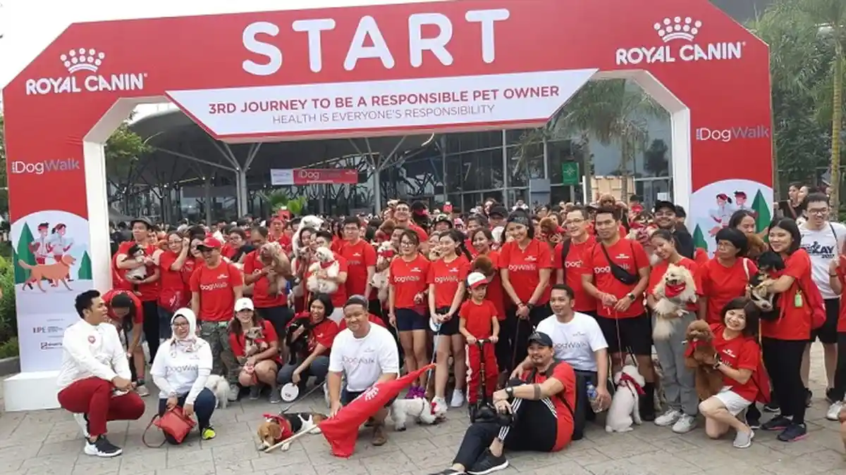 Ratusan Dog Lovers Meriahkan Event Dog Walks 2019 di ICE BSD