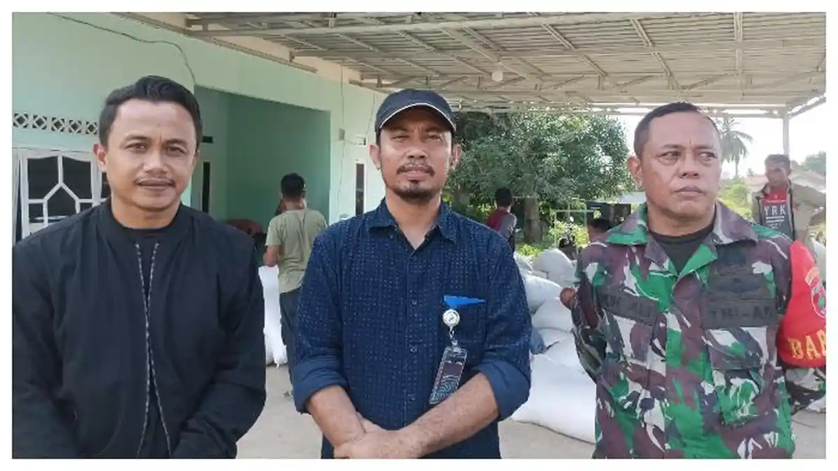 Bulog Bone Beli Gabah Petani Rp 6.500 per Kilogram, Klaim Serap 29,8 Ton