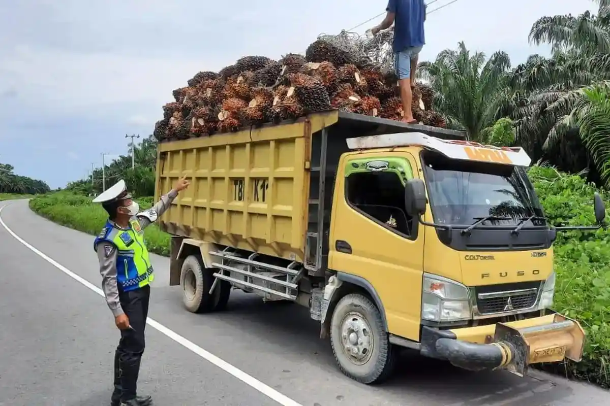 Kendaraan Over Dimensi dan Over Loading Bakal Ditindak Ditlantas Polda Kaltara, Gencar Sosialisasi
