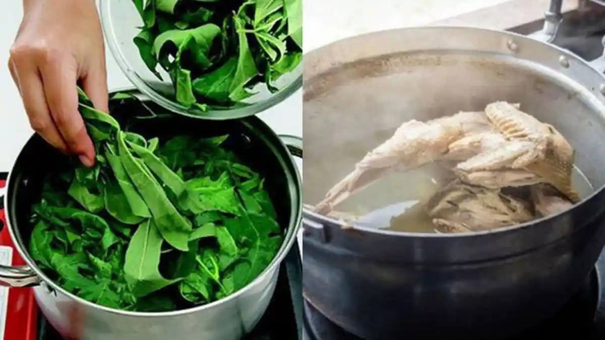 Resep Bikin Ayam Kampung Tanpa Panci Presto, Dijamin Berhasil, Ini Rahasianya!