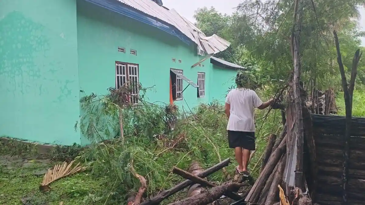 Cuaca Ekstrem Landa TTU, 1 Rumah Warga Desa Humusu Wini Tertimpa Pohon Tumbang 