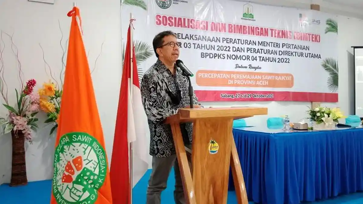 Ingin Dapat Bantuan Peremajaan Sawit Rakyat? Begini Penjelasan Gapki Aceh