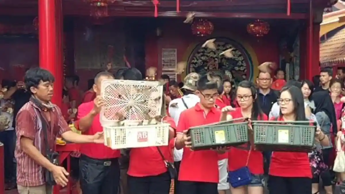 Tradisi Membebaskan Burung Pipit Saat Imlek Agar Rezeki Melimpah