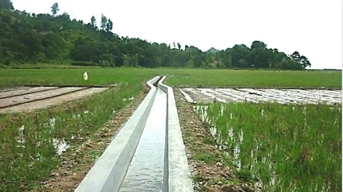 Membangunkan Lahan Tidur dan Mencetak Sawah Wujudkan Swasembada