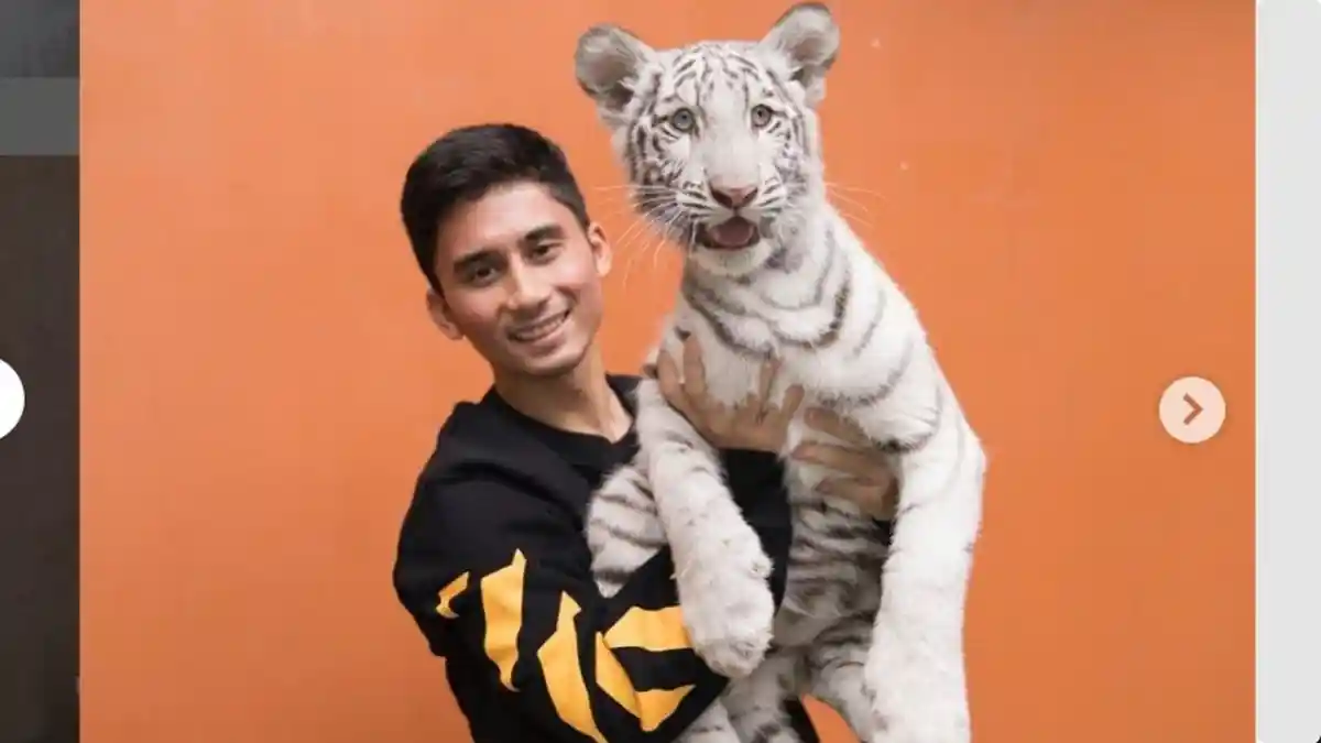 Ini Harga Anak Harimau yang Dibeli Alshad Sepupu Raffi Ahmad