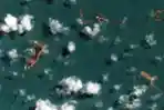 Letusan Dahsyat Gunung Berapi Bawah Laut Tonga