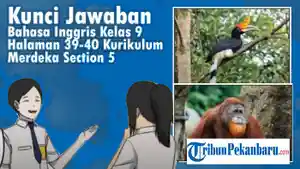 Kunci-Jawaban-Bahasa-Inggris-Kelas-9-Halaman-39-40-Kurikulum-Merdeka-Section-5.jpg