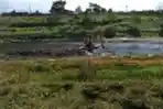 Sebuah Bechoe Melakukan Pengerukan Dasar Sungai Citarum