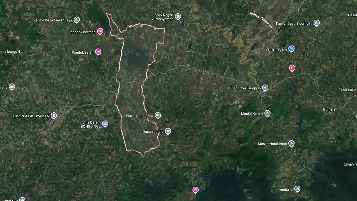 Kades Saripi Boalemo Gorontalo Jadi Tersangka Kasus Tambang Emas Ilegal, 9 Warga Ikut Ditahan