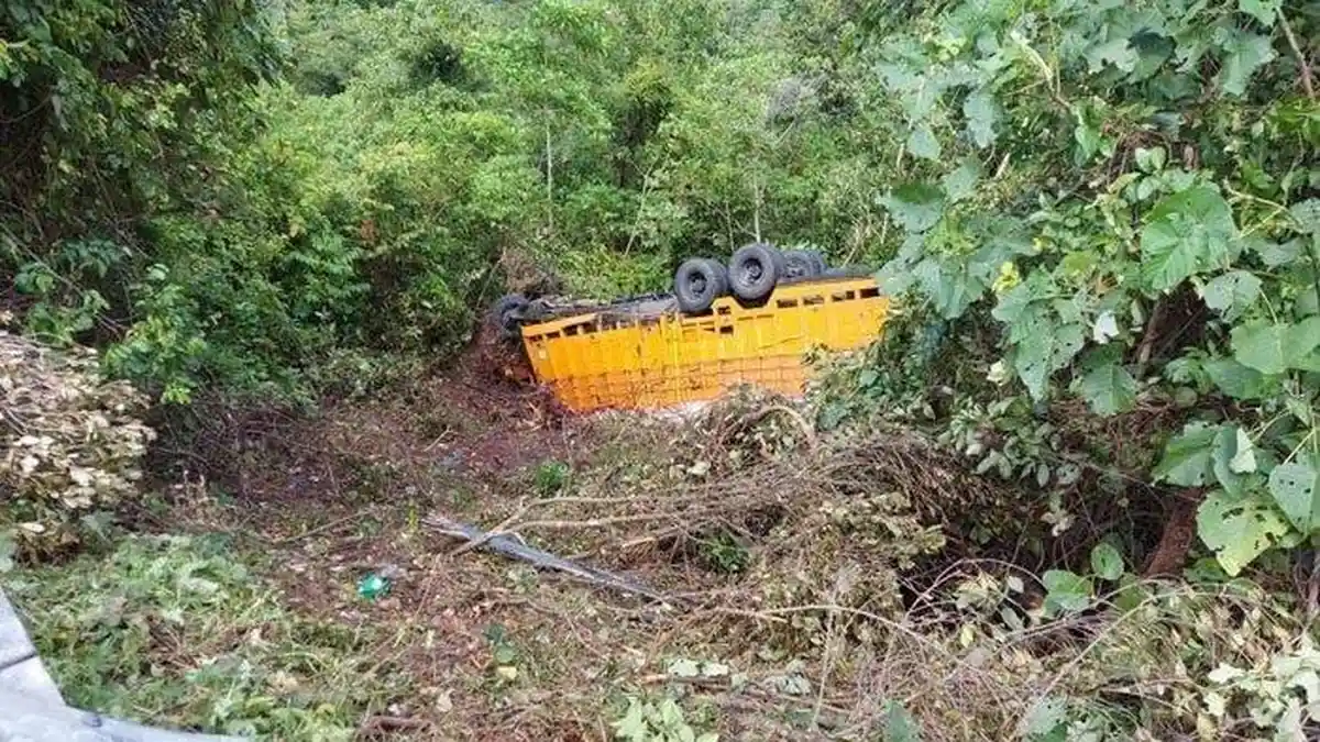 Lolos dari Kecelakaan Maut, Sebelum Terjun Bebas ke Jurang, Sopir Loncat & Berusaha Ganjal Ban Truk