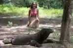 Melihat Hewan Komodo di Pulau Komodo