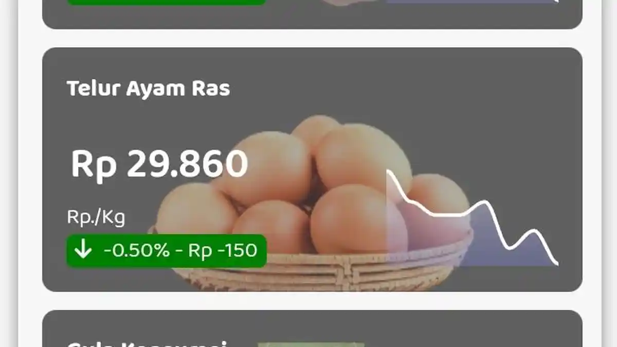 Harga Telur Ayam Ras Hari Ini Kamis 3 Oktober 2024, Sleman, Bantul, Kulon Progo, Gunungkidul, Jogja