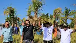petani-padi-Desa-Puuroda-Kecamatan-Baula.jpg
