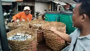Harga-ikan-tambak-di-Lamongan-anjlok.jpg