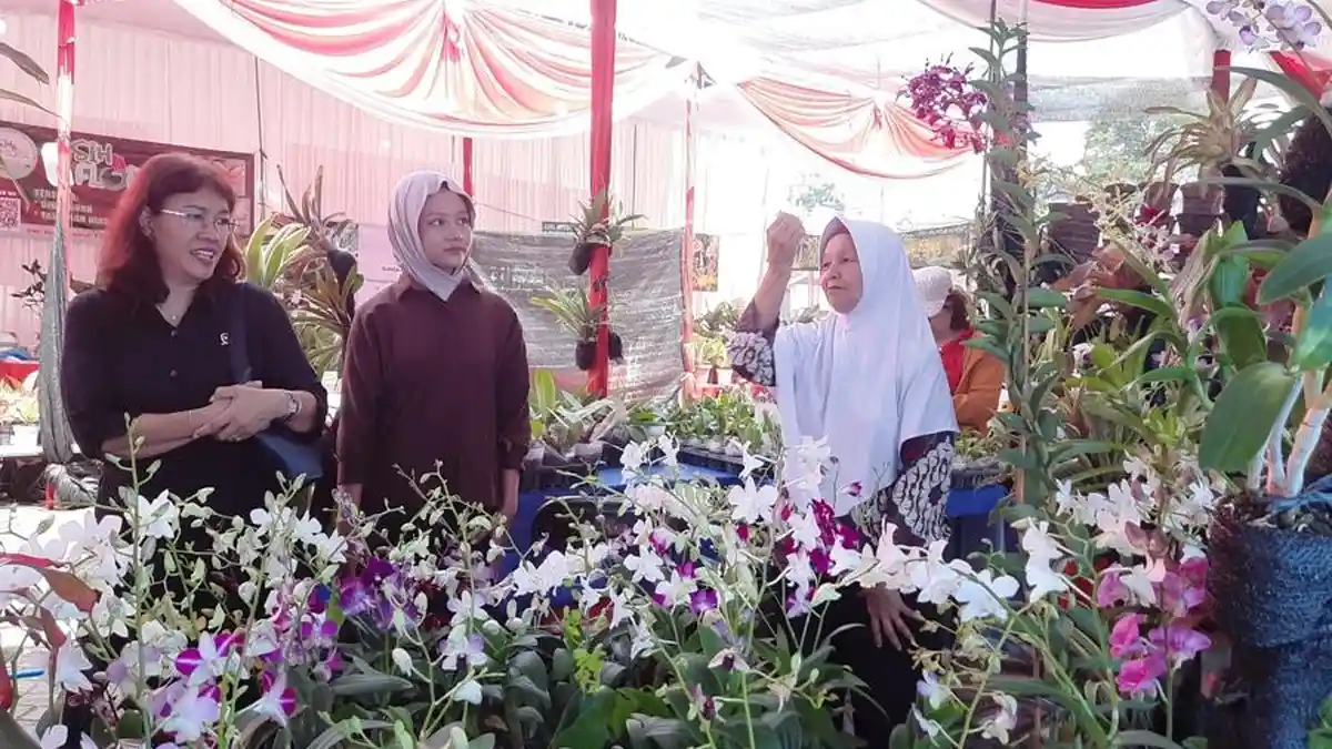 Kisah Umi Kalsum Petani Anggrek Asal Semarang Raup Cuan Jutaan Rupiah, Hasil Belajar Autodidak