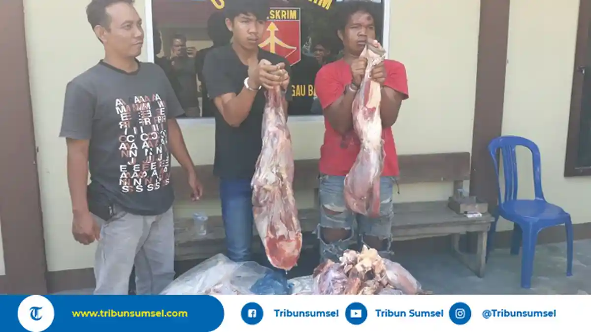 Curi 25 Kilogram Daging Sapi, 2 Pemuda di Lubuklinggau Ini Diciduk